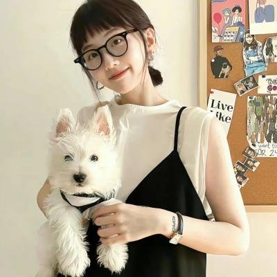 青龙复仇